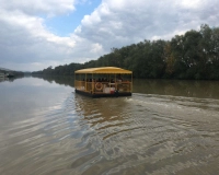 Buliponton
